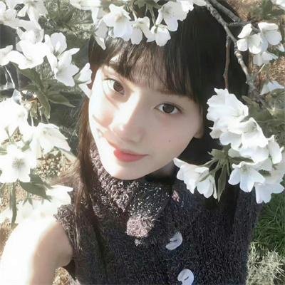 武侠七公主